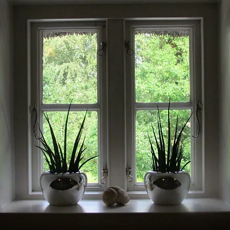 Historischer Davidshof - Mit Dem Rad Nordseehalbinsel Erkunden Oldenswort