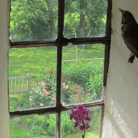 Historischer Davidshof - Mit Dem Rad Nordseehalbinsel Erkunden Oldenswort